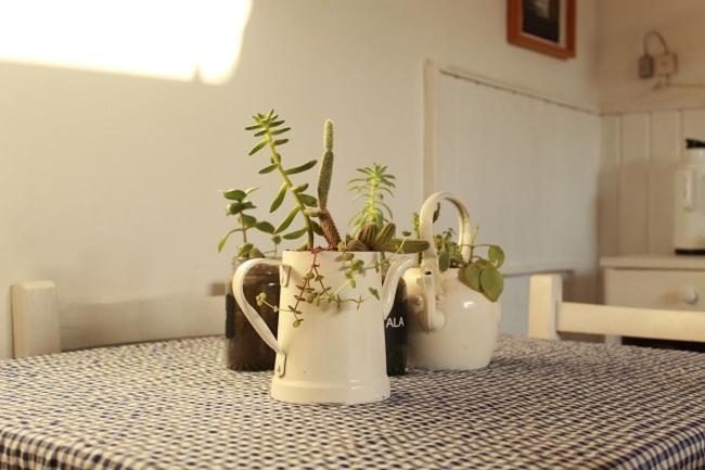 Alma De Proa Bed & Breakfast San Antonio de Areco Ngoại thất bức ảnh